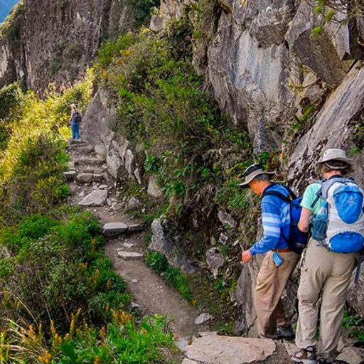 CAMINO-INCA-4D3N2