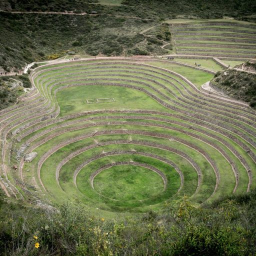 MORAY